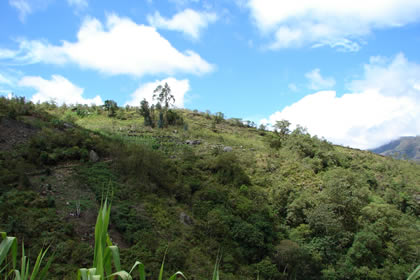 CAMINATA COCACHIMBA-GOCTA-COCACHIMBA 16