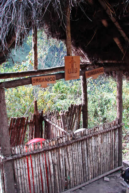 CAMINATA COCACHIMBA-GOCTA-COCACHIMBA 88