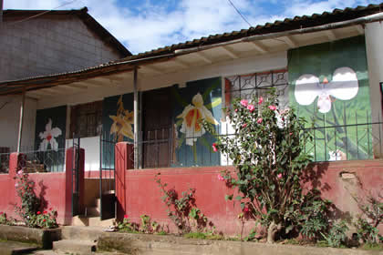 CASAS Y CASONAS CHACHAPOYANAS 03