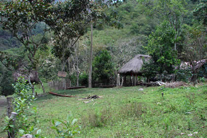 CABA�ITA LA GOLONDRINA 01