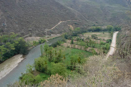 NUEVO TINGO 03