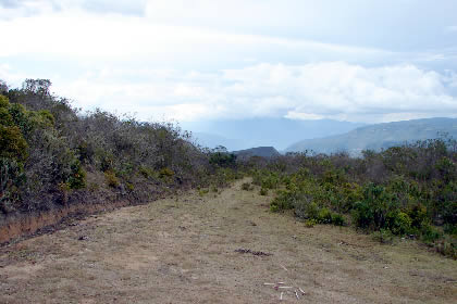 CAMINATA HACIA PUEBLO DE MUERTOS 01