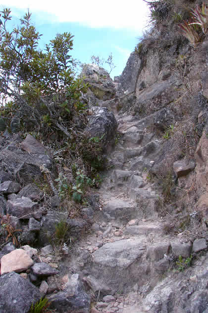 CAMINATA HACIA PUEBLO DE MUERTOS 11