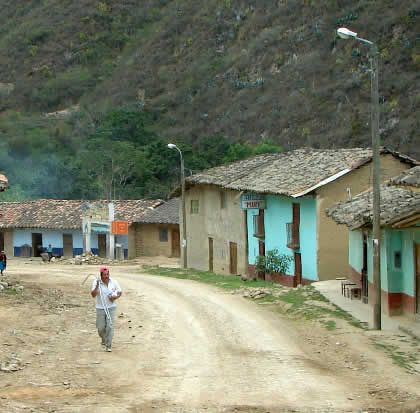 YERBABUENA 08