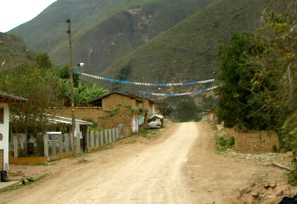 YERBABUENA 13