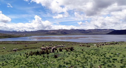 laguna conococha 01