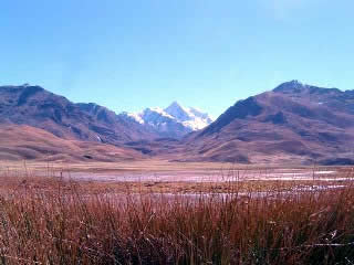NEVADO MURRURAJU
