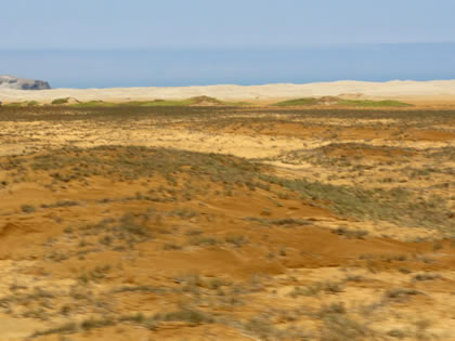 PLAYA EL GRAMADAL 11