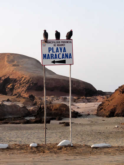 PLAYA MARACANA 01