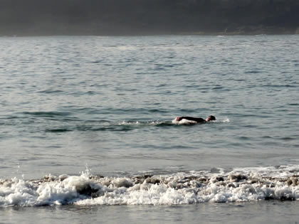 PLAYA MARACANA 10