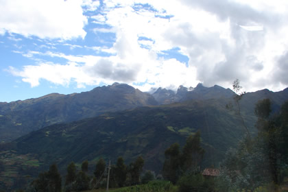 NEVADO AMPAY 01