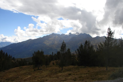 NEVADO AMPAY 13