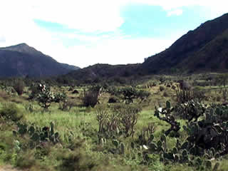 EL RIO PAMPAS 01