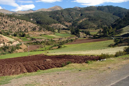 SAN LUIS 04