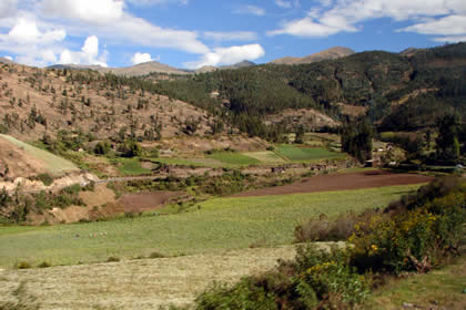 SAN LUIS 05