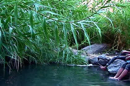 AGUAS TERMALES DE NI�OCHACA 05