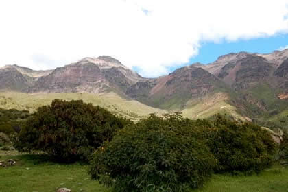 BOSQUE DE CHANCHAURO 01