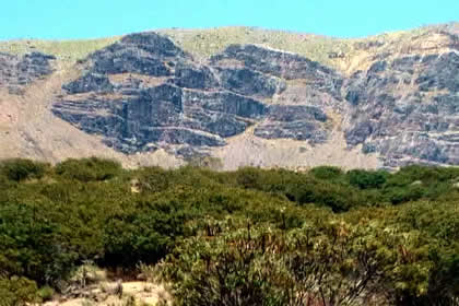 BOSQUE DE CHANCHAURO 04
