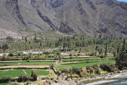 CAÑON DE COTAHUASI 40