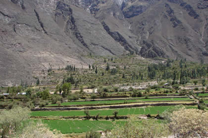CAÑON DE COTAHUASI 41
