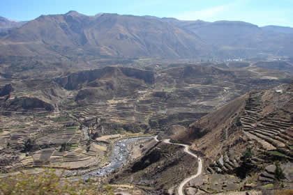 CA�ON DEL COLCA 04