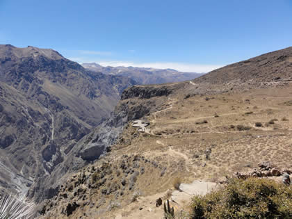 CA�ON DEL COLCA 17