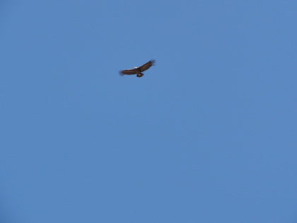 EL VUELO DEL CONDOR 07