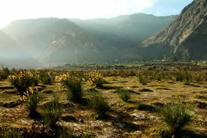 RETAMALES DE HUAYHUANCA Y BA�OS TERMALES CO�E 01
