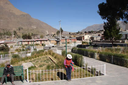 MACA 04