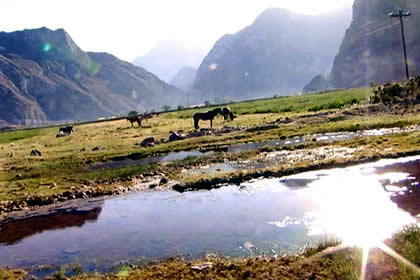 PAMPAMARCA 05