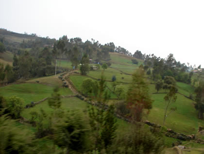 ENCAÑADA - PAMPA HERMELINDA 09