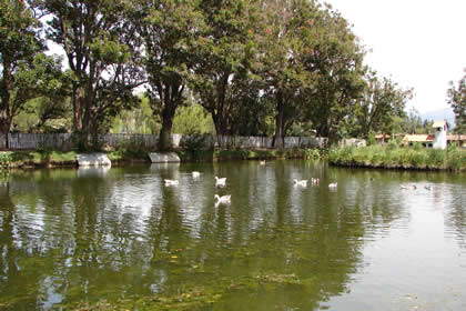 HACIENDA LA COLPA LA LAGUNA 04