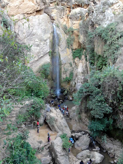LLACANORA CATARATAS HEMBRA Y MACHO 04