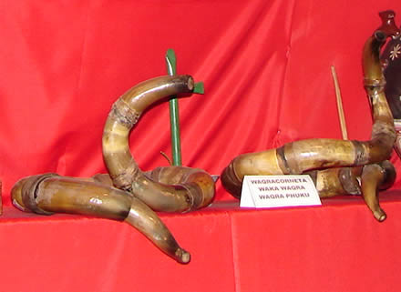 WAQRACORNETA, WAKA WAQRA O WAQRA PHUKU