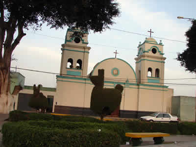 SALAS GUADALUPE 04