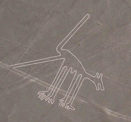 GEOGLIFO EL PERRO 02