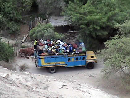 TEPSA PALPA 01