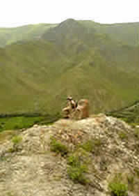 DISTRITO DE TIBILLO 01