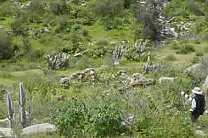 DISTRITO DE TIBILLO 01