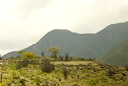 DISTRITO DE TIBILLO 01