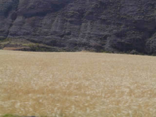 VALLE DEL MANTARO 03
