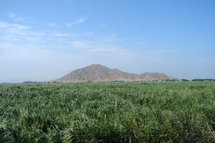 LIMA - CHOCOPE 103