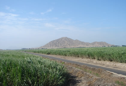 LIMA - CHOCOPE 104
