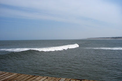 MALECON GRAU 08