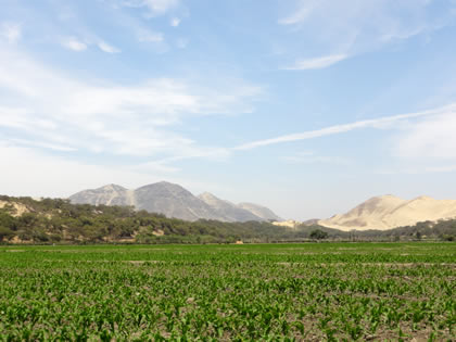 RUTA CRUCE SAN MARTIN DE PORRES - BOSQUE Y COMPLEJO ARQUEOLOGICO EL CAÑONCILLO 04