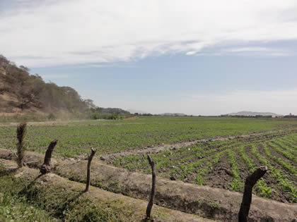 RUTA CRUCE SAN MARTIN DE PORRES - BOSQUE Y COMPLEJO ARQUEOLOGICO EL CAÑONCILLO 06