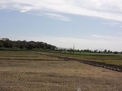 RUTA CRUCE SAN MARTIN DE PORRES - BOSQUE Y COMPLEJO ARQUEOLOGICO EL CAÑONCILLO 08