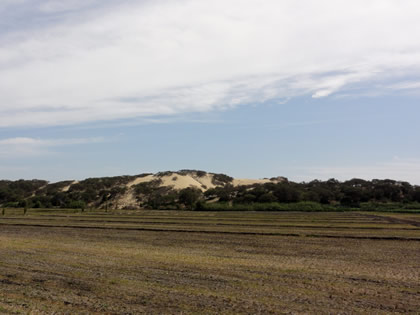 RUTA CRUCE SAN MARTIN DE PORRES - BOSQUE Y COMPLEJO ARQUEOLOGICO EL CAÑONCILLO 09