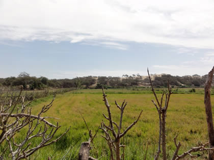 RUTA CRUCE SAN MARTIN DE PORRES - BOSQUE Y COMPLEJO ARQUEOLOGICO EL CAÑONCILLO 10