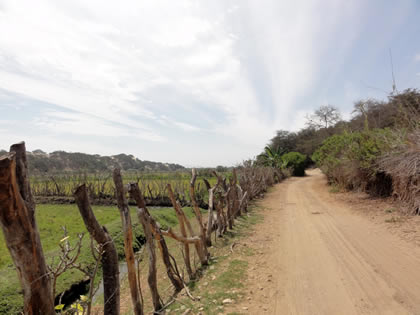 RUTA CRUCE SAN MARTIN DE PORRES - BOSQUE Y COMPLEJO ARQUEOLOGICO EL CAÑONCILLO 11